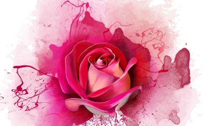 Rose: Sweet Nectar of the Gods
